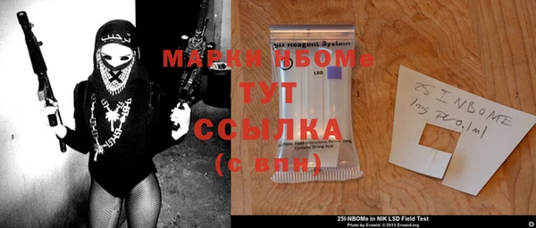 ECSTASY Бородино