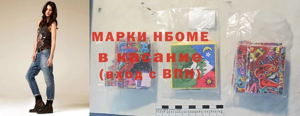 ECSTASY Бородино