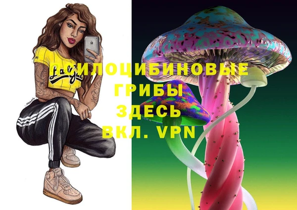 каннабис Арсеньев