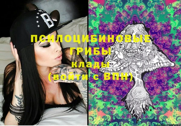 ECSTASY Бородино