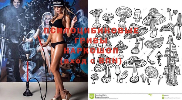 MESCALINE Аркадак