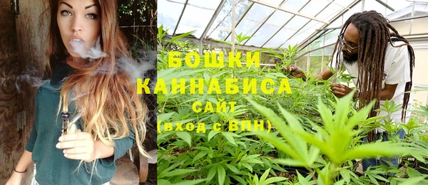 ECSTASY Бородино