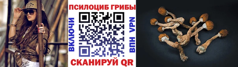 Галлюциногенные грибы Psilocybe  Северо-Курильск 